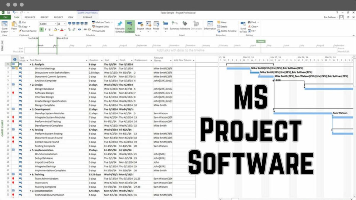 MS Project Software
