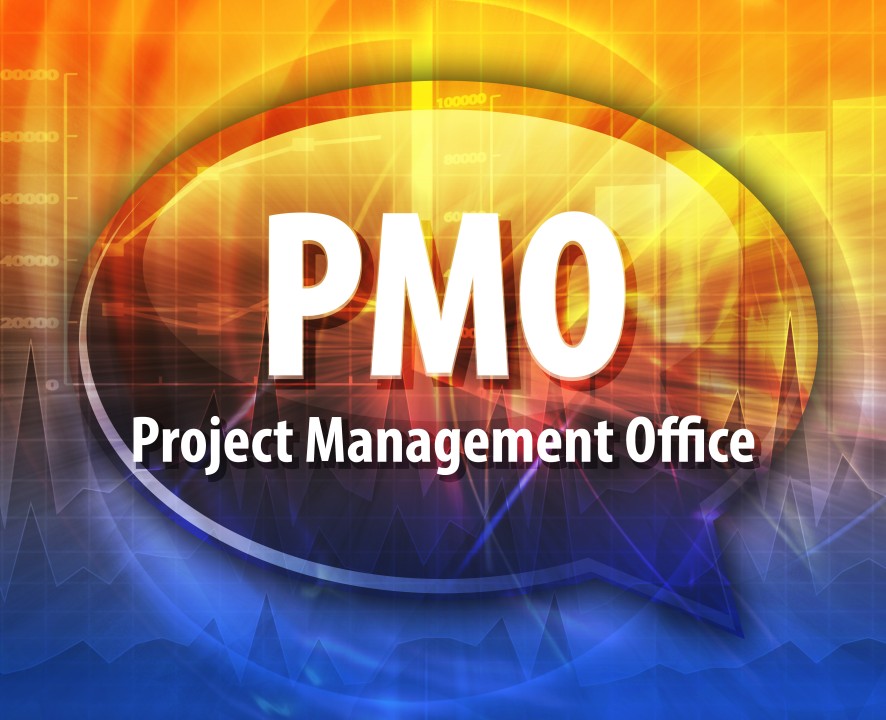 What Does PMO mean?