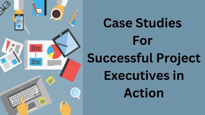 Case Studies: Successful Project Executives in Action