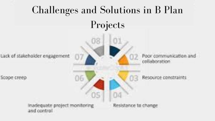 Challenges and Solutions in B Plan Projects