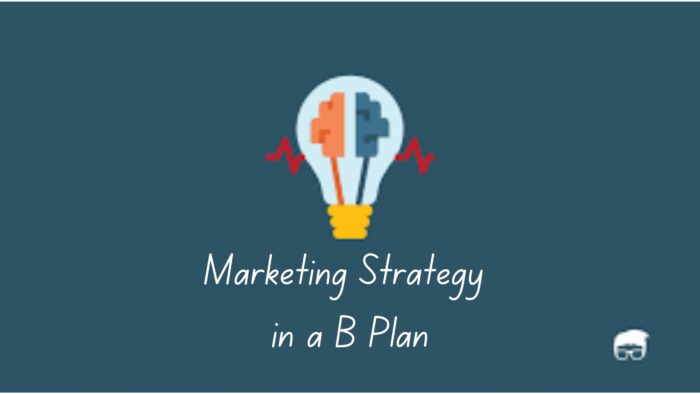Marketing Strategy in a B Plan