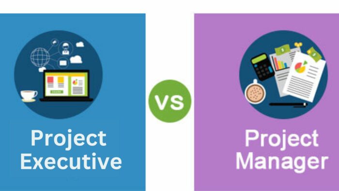 Project Executive vs. Project Manager