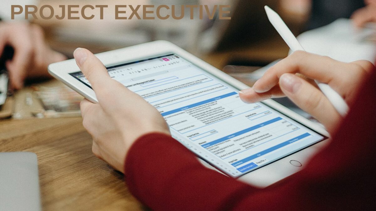 Top Skills for Becoming the Best Project Executive in 2024