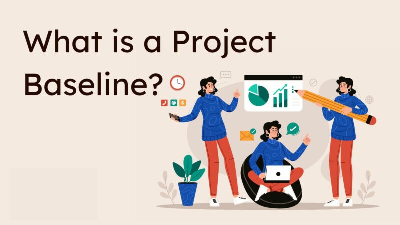 What is a Project Baseline