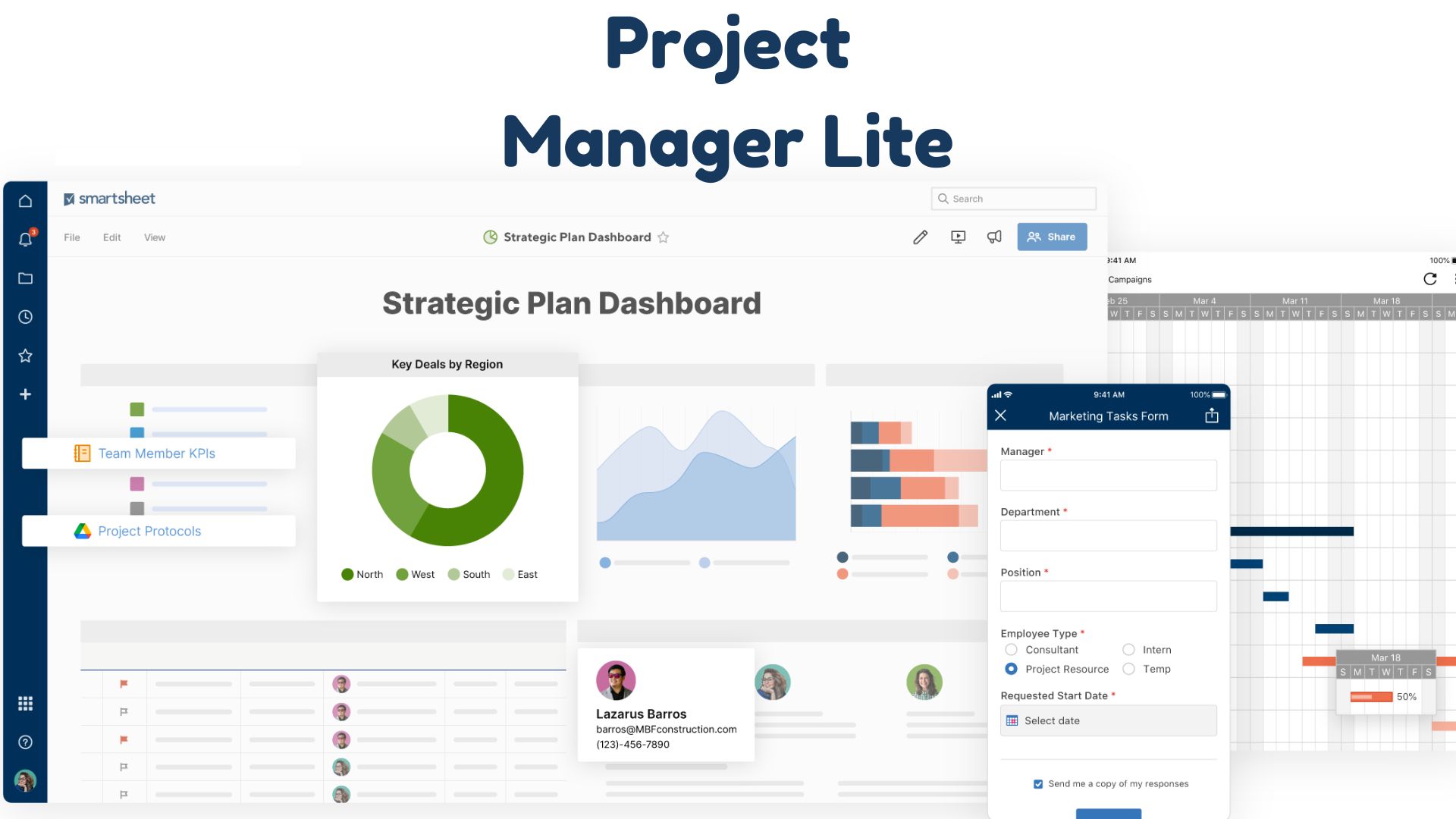 Project Manager Lite Tool